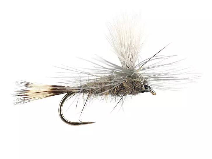 Hares Ear Parachute
