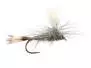 Hares Ear Parachute