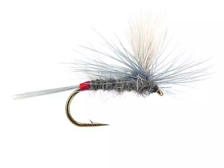 Iron Blue Dun Parachute