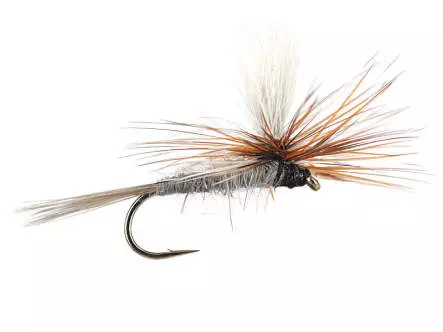Adams Parachute