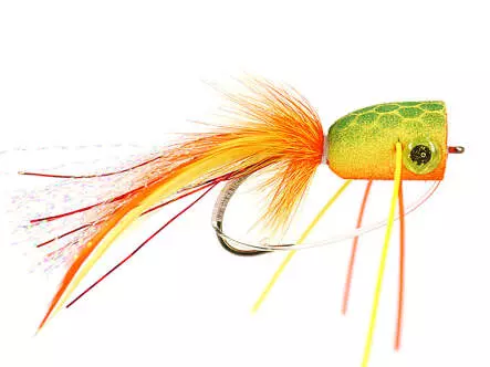 Orange Tiger Superb Popper