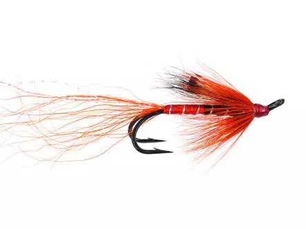 Ally Shrimp Orange
