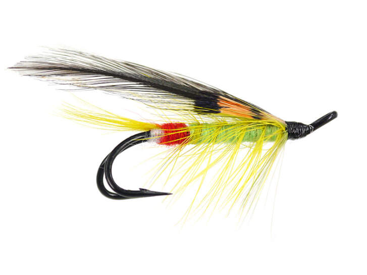 Mouche saumon la Jock Scott Salmon, en Vente sur la boîte à mouche le