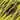 GRIZZLY CRAFT FUR hotfly - 80 / 100 mm - 110 x 110 mm - yellow